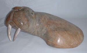 baby-walrus baby-walrus