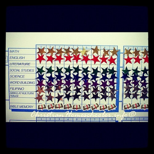 Level 2 Nov 18 PACES Progress Chart